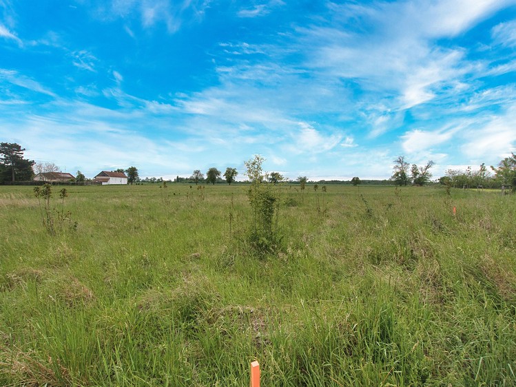 Grundstück zum Kauf, 1.392 m² (10 von 11)