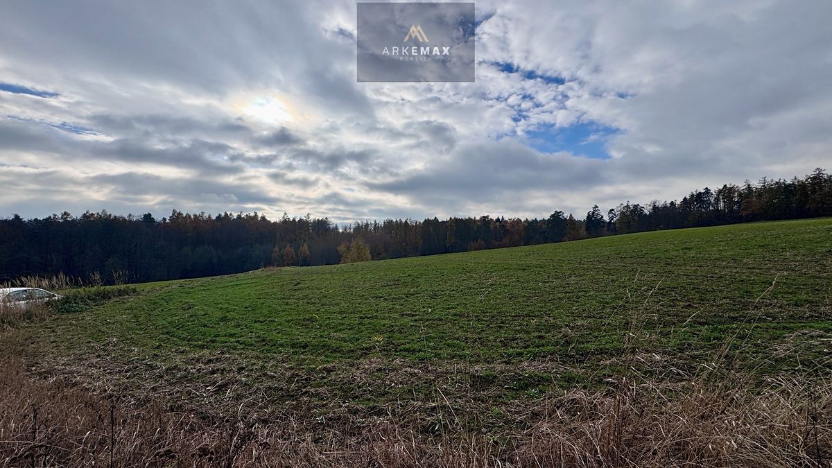 Prodej pole 17151 m² 5