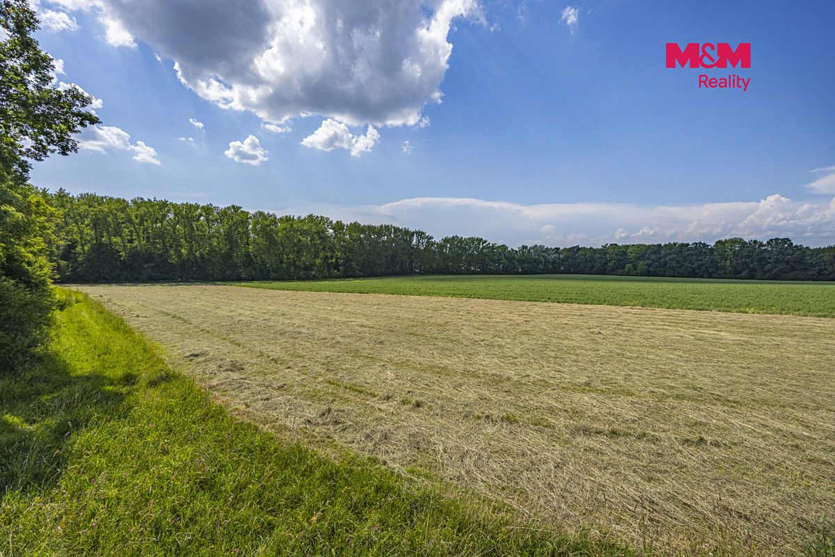 Prodej lesa 11971 m² – fotografie 3