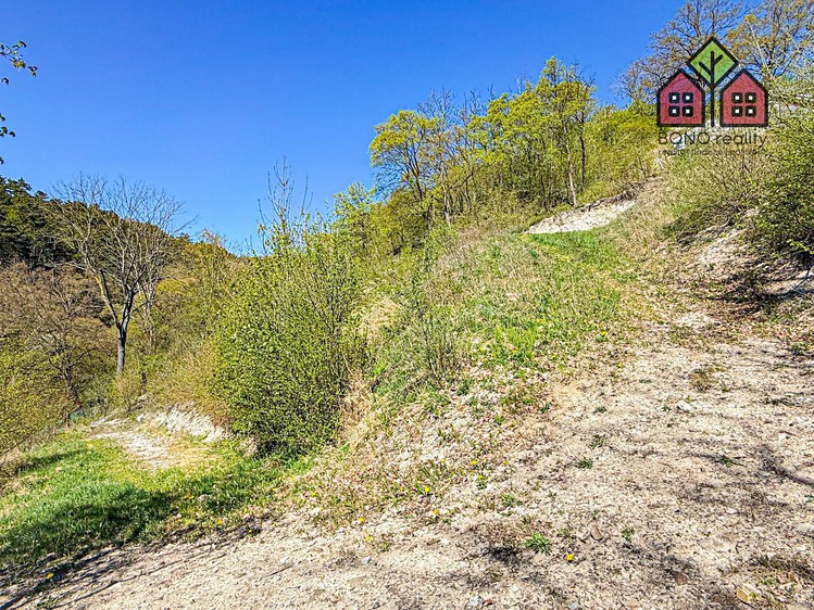 Prodej pozemku, 4 999 m² (14 z 22)