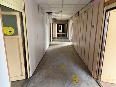 Gewerbefläche zur Miete, 600 m² (3 von 18)
