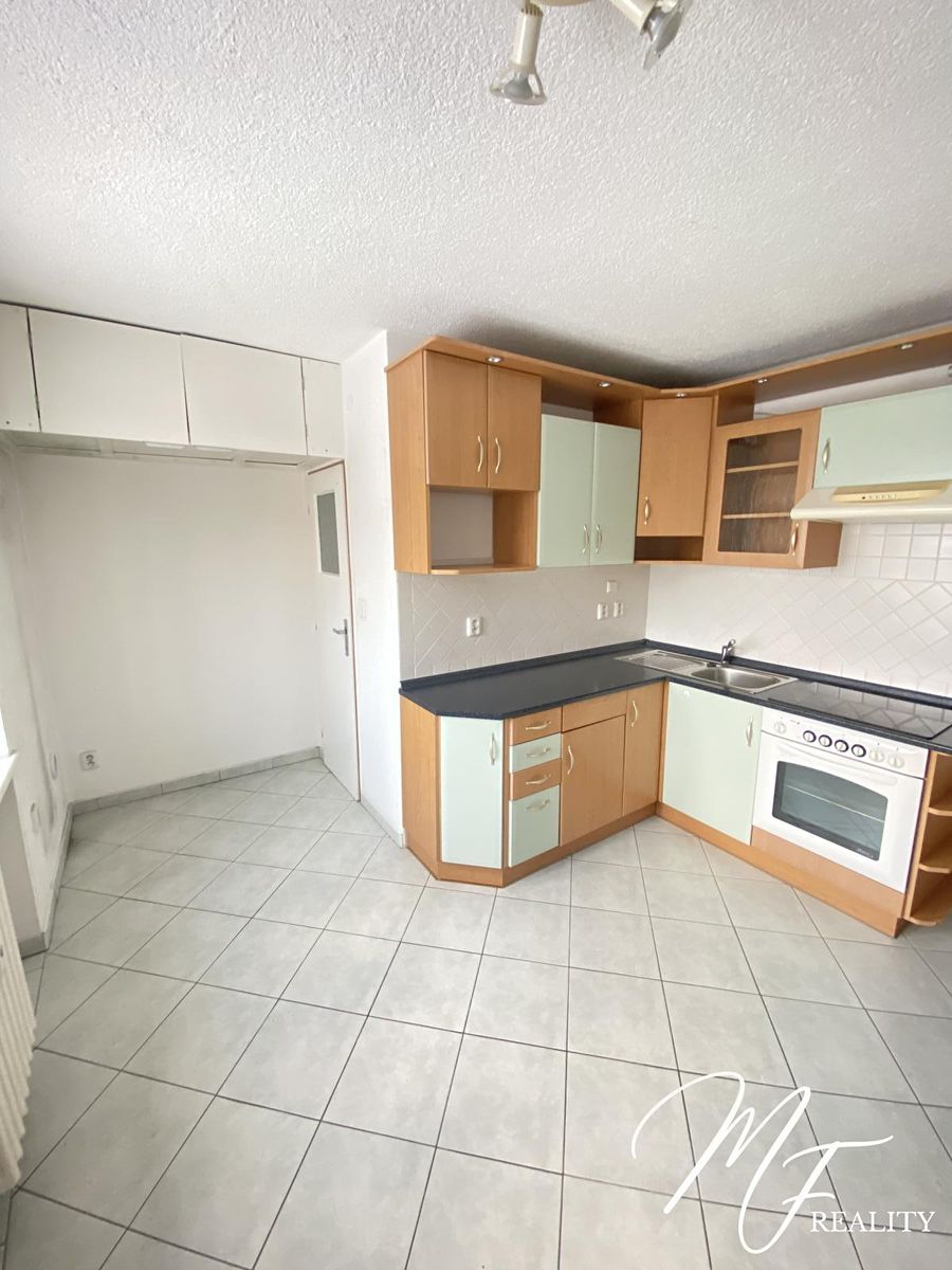 Pronájem bytu 1+1 44 m² – fotografie 3