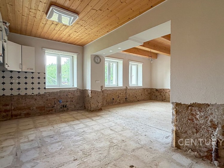 Prodej domu, 420 m² (9 z 11)