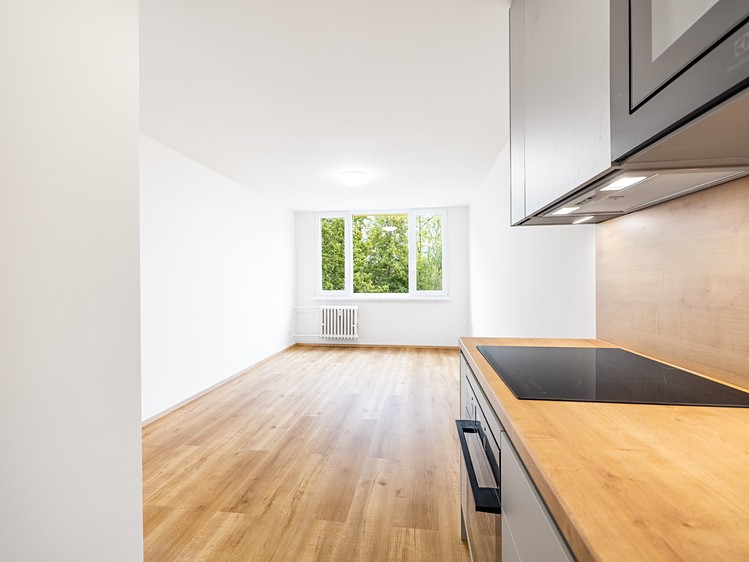 The 2+kk flat for sale, 40 m² (6 of 23)