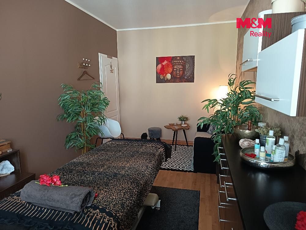 Pronájem bytu 2+kk 55 m² – fotografie 5