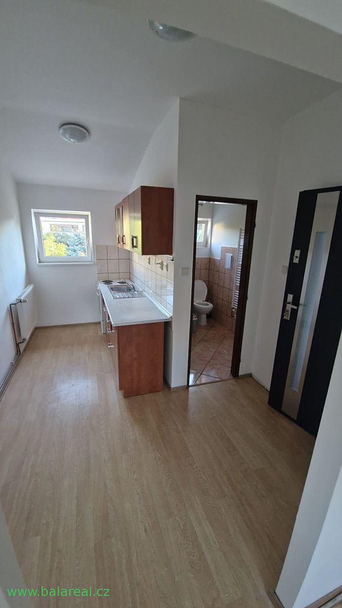 Pronájem bytu 1+kk 23 m²