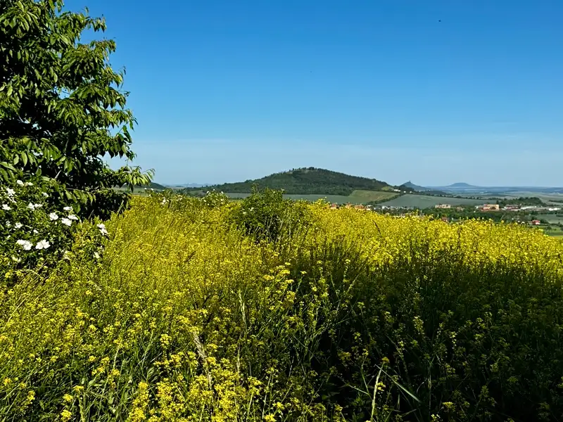 Prodej zemědělské usedlosti 535 m², pozemek 2504 m², Libčeves – náhled fotky 2