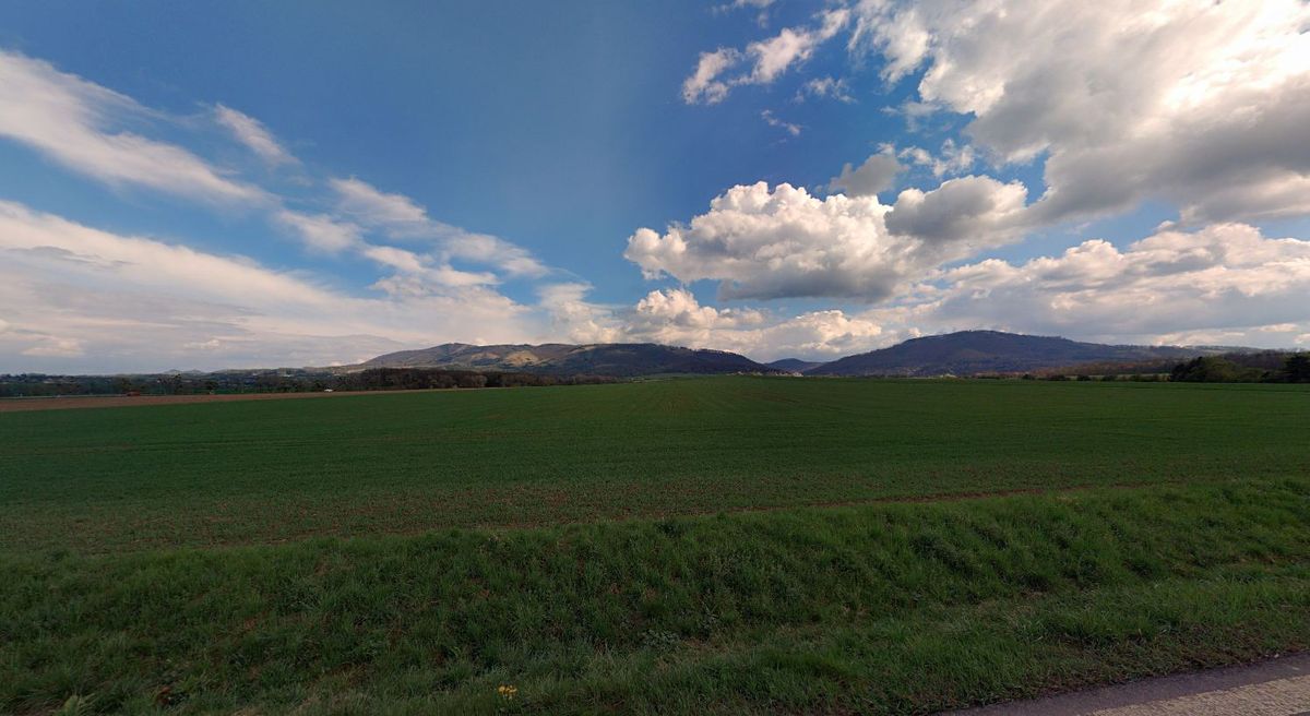 Prodej pole 3984 m² – fotografie 2