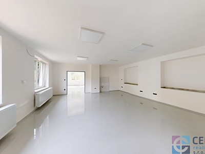 Pronájem komerčního prostoru, 350 m² (3 z 14)