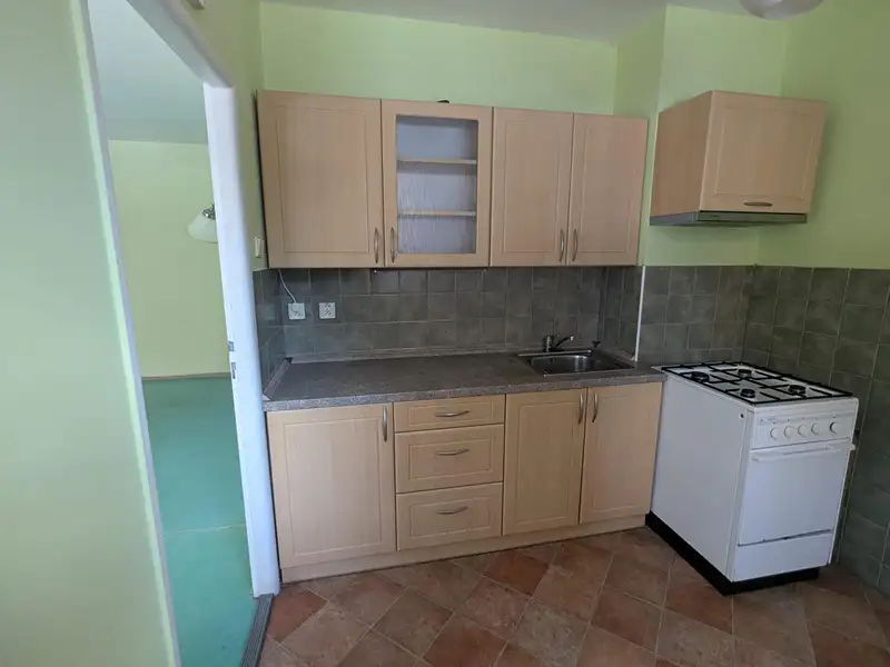 Pronájem bytu 2+1 48 m², Bílina – náhled fotky 1