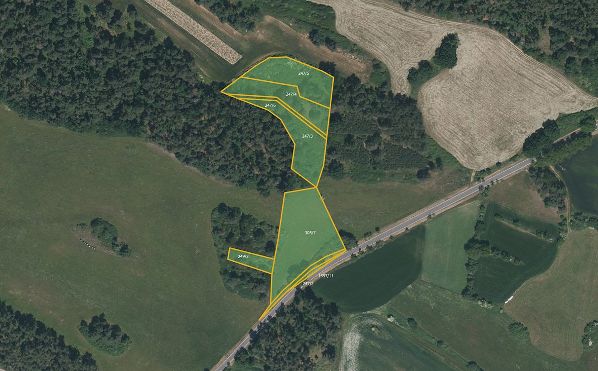 Prodej lesa 10763 m²