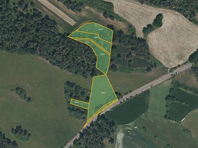Prodej lesa 10763 m²