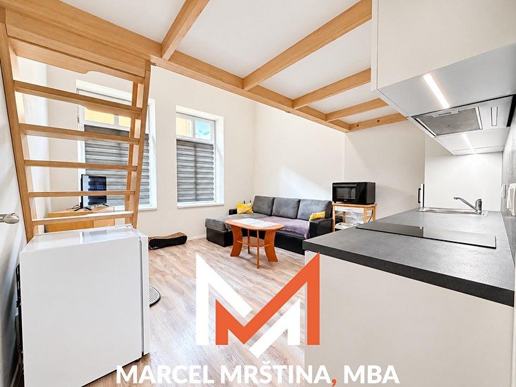 Pronájem bytu 1+kk, 21 m² (2 z 10)