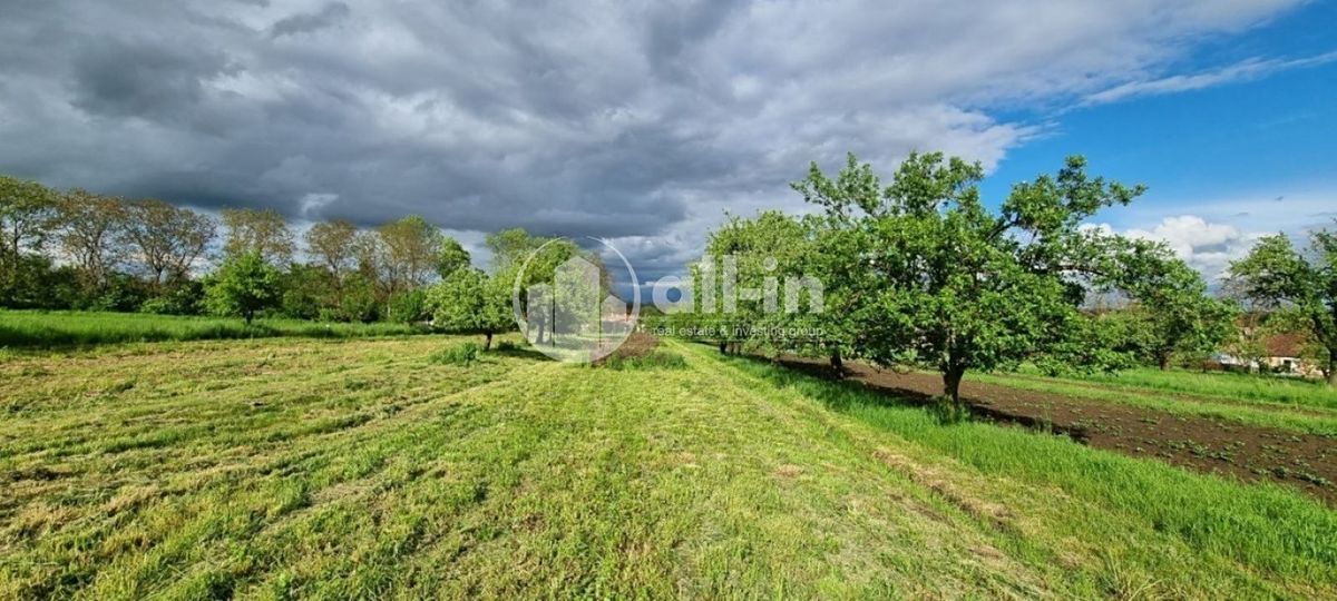 Prodej sadu, vinice 1062 m²
