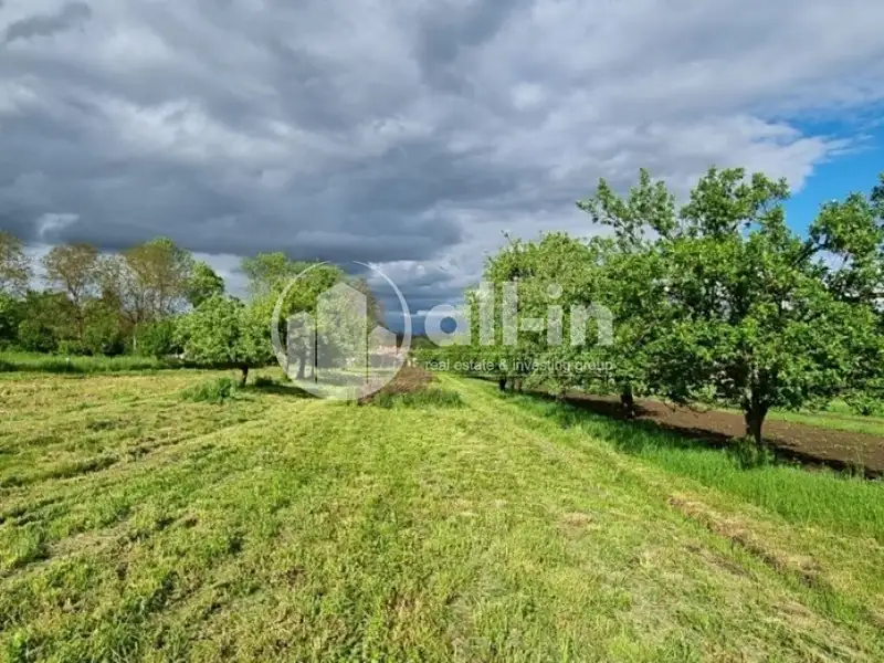Prodej sadu, vinice 1062 m², Tištín – náhled fotky 1
