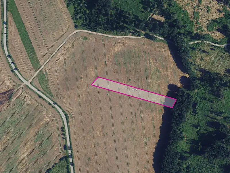 Prodej pole 4226 m², Újezd u Černé Hory – náhled fotky 3