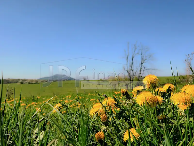 Prodej stavebního pozemku 3539 m², Lovečkovice – náhled fotky 2