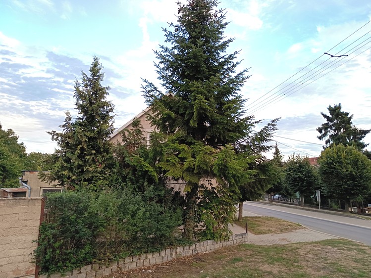Ostatní