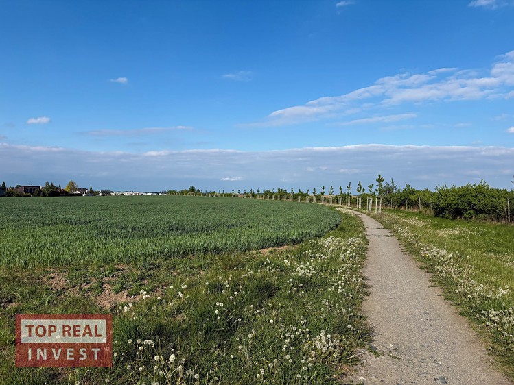 Grundstück zum Kauf, 437 m² (8 von 8)