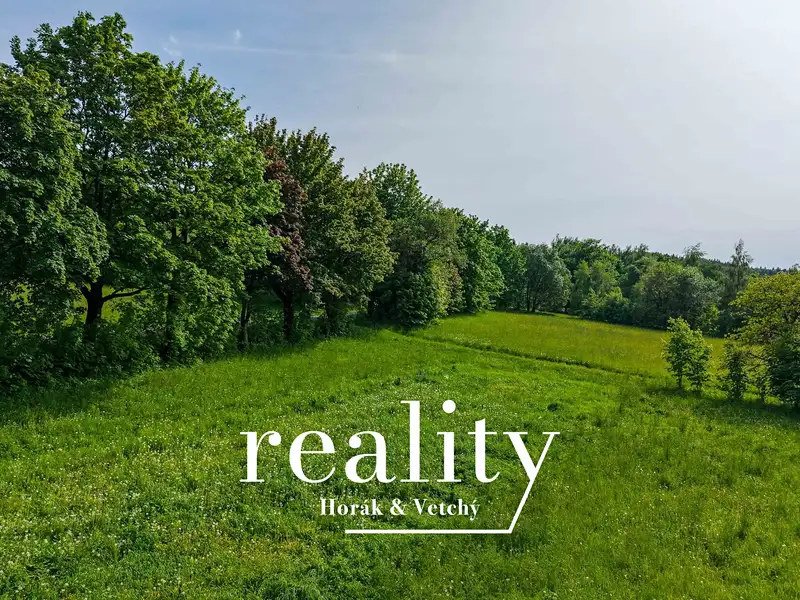 Prodej stavebního pozemku 983 m², Čenkovice – náhled fotky 1