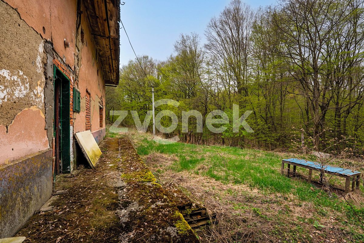 Prodej rodinného domu 210 m², pozemek 3984 m² – fotografie 3