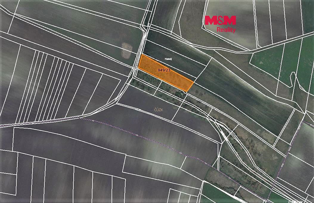 Prodej lesa 1499 m², Koštice – fotka 1 z 3