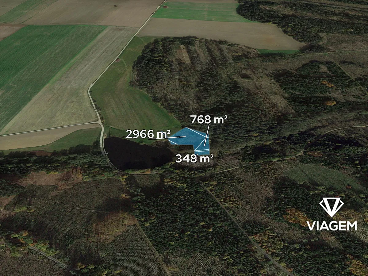 Prodej lesa 4700 m²