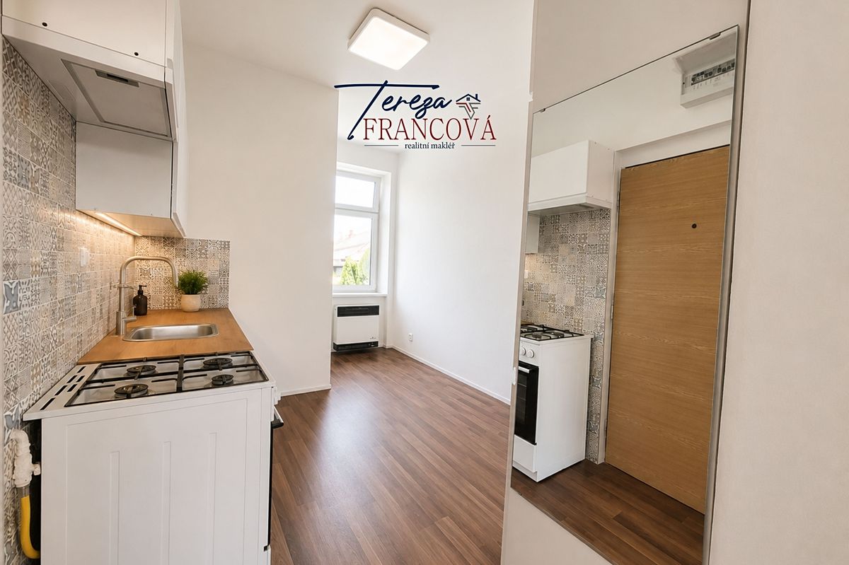Pronájem bytu 1+1 41 m² – fotografie 2