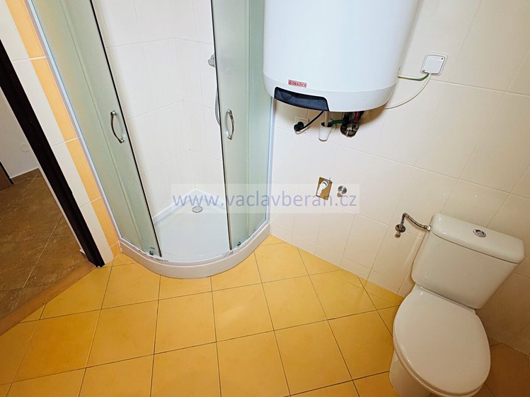 Pronájem bytu 2+kk, 42 m² (14 z 16)