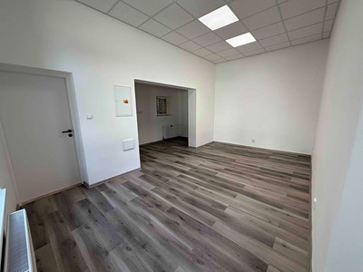 Pronájem komerčního prostoru, 129 m² (3 z 14)