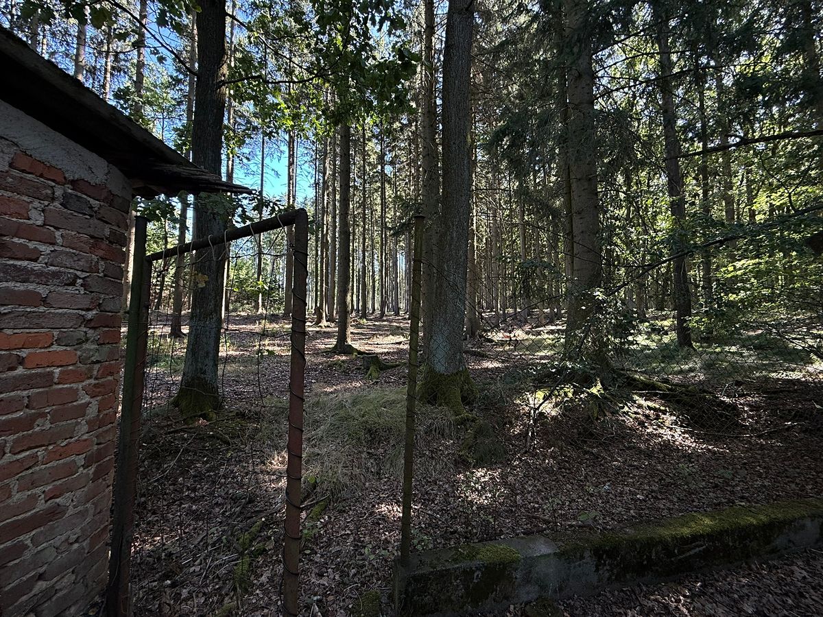 Prodej rodinného domu 160 m², pozemek 1429 m² – fotografie 5