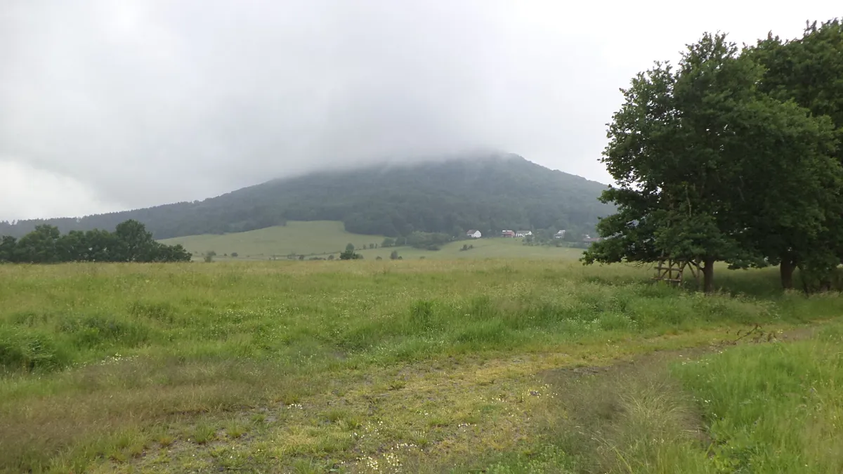Prodej pole 4685 m²