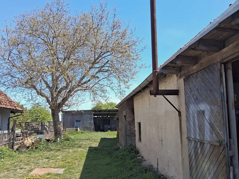 Prodej rodinného domu 245 m², pozemek 1000 m², Libeř – náhled fotky 3