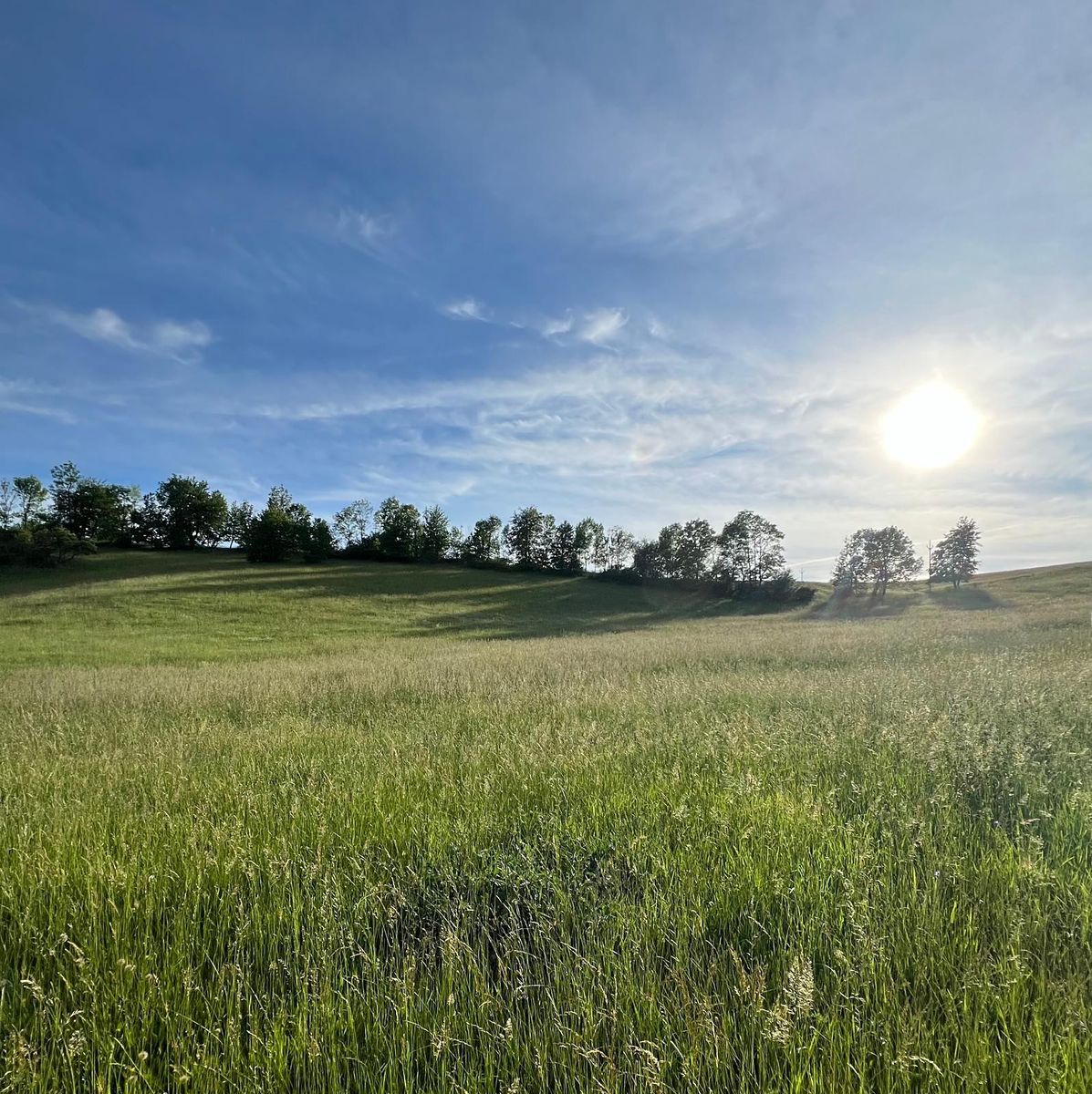 Prodej louky 22000 m²