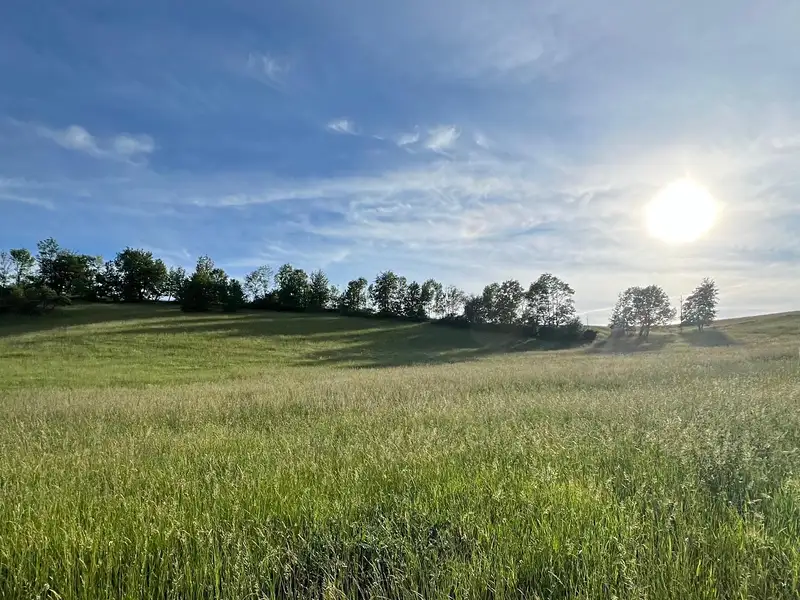 Prodej louky 22000 m², Horka u Staré Paky – náhled fotky 1