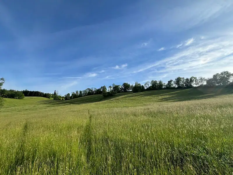 Prodej louky 22000 m², Horka u Staré Paky – náhled fotky 3