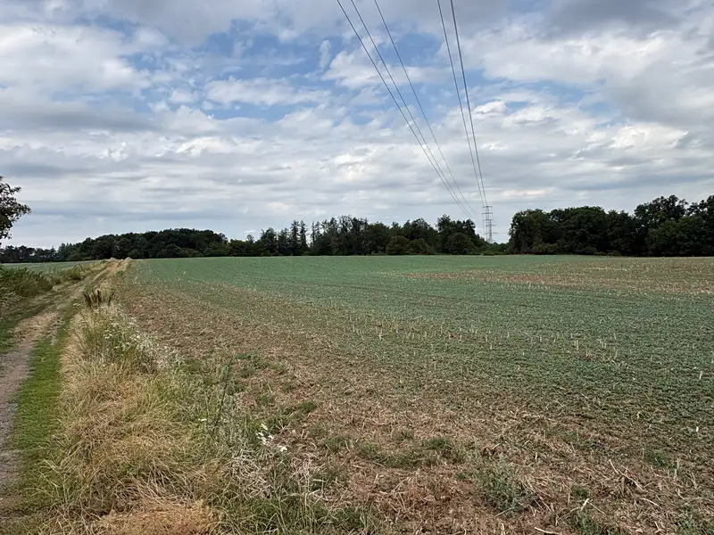 Prodej pole 29765 m², Větrušice – náhled fotky 1