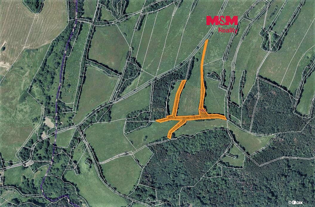 Prodej lesa 11553 m², Žandov – fotka 1 z 3