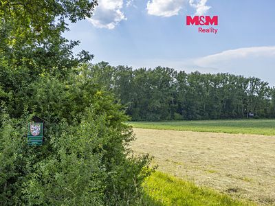 Prodej lesa 11971 m²