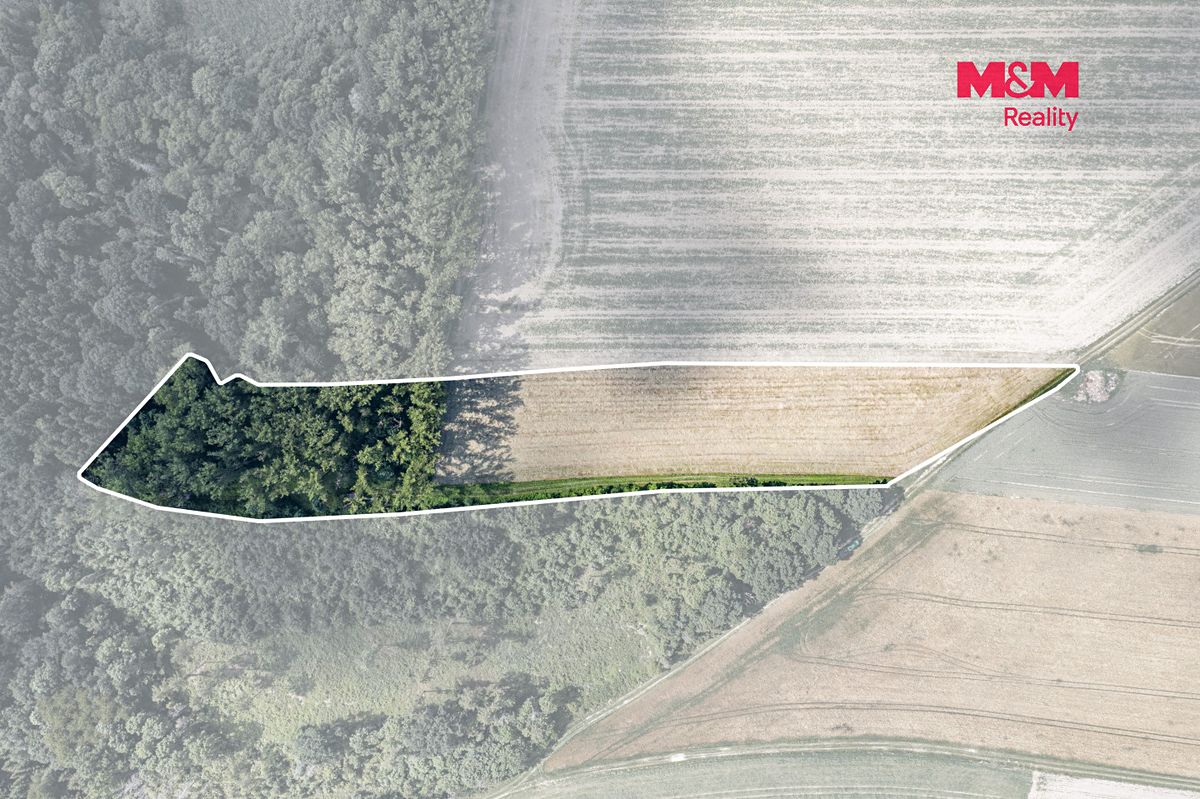 Prodej lesa 11971 m² – fotografie 2