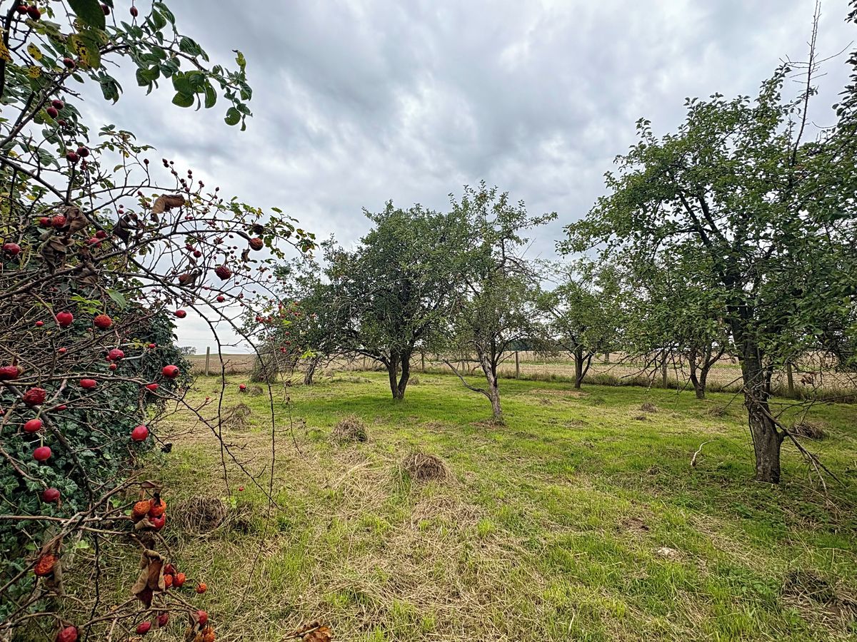 Prodej rodinného domu 90 m², pozemek 2878 m² – fotografie 3