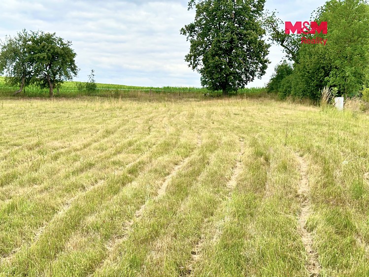 Grundstück zum Kauf, 1.181 m² (8 von 10)