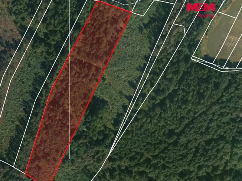 Prodej lesa 32765 m², Libín – náhled fotky 2