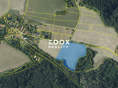 Prodej  louky 25 946 m²