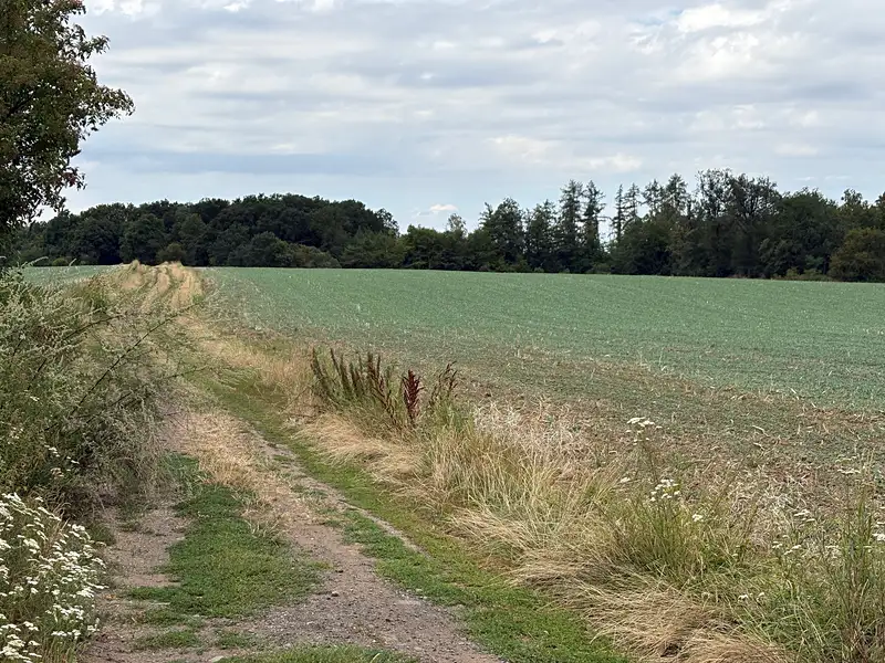 Prodej pole 29765 m², Větrušice – náhled fotky 3