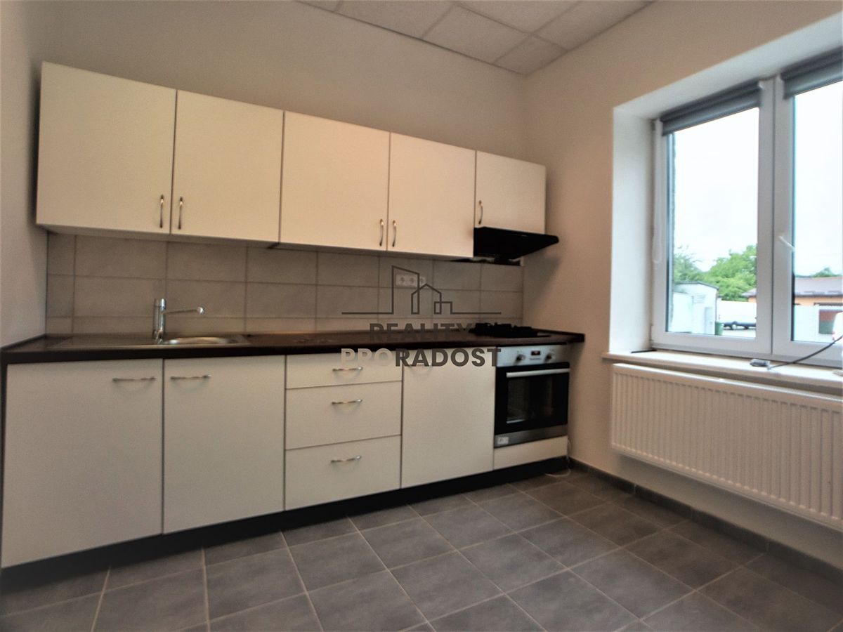 Pronájem bytu 1+1 40 m²
