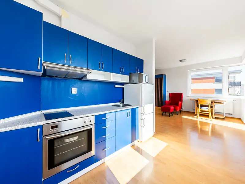 Pronájem bytu 1+kk 42 m², Plzeň – náhled fotky 2
