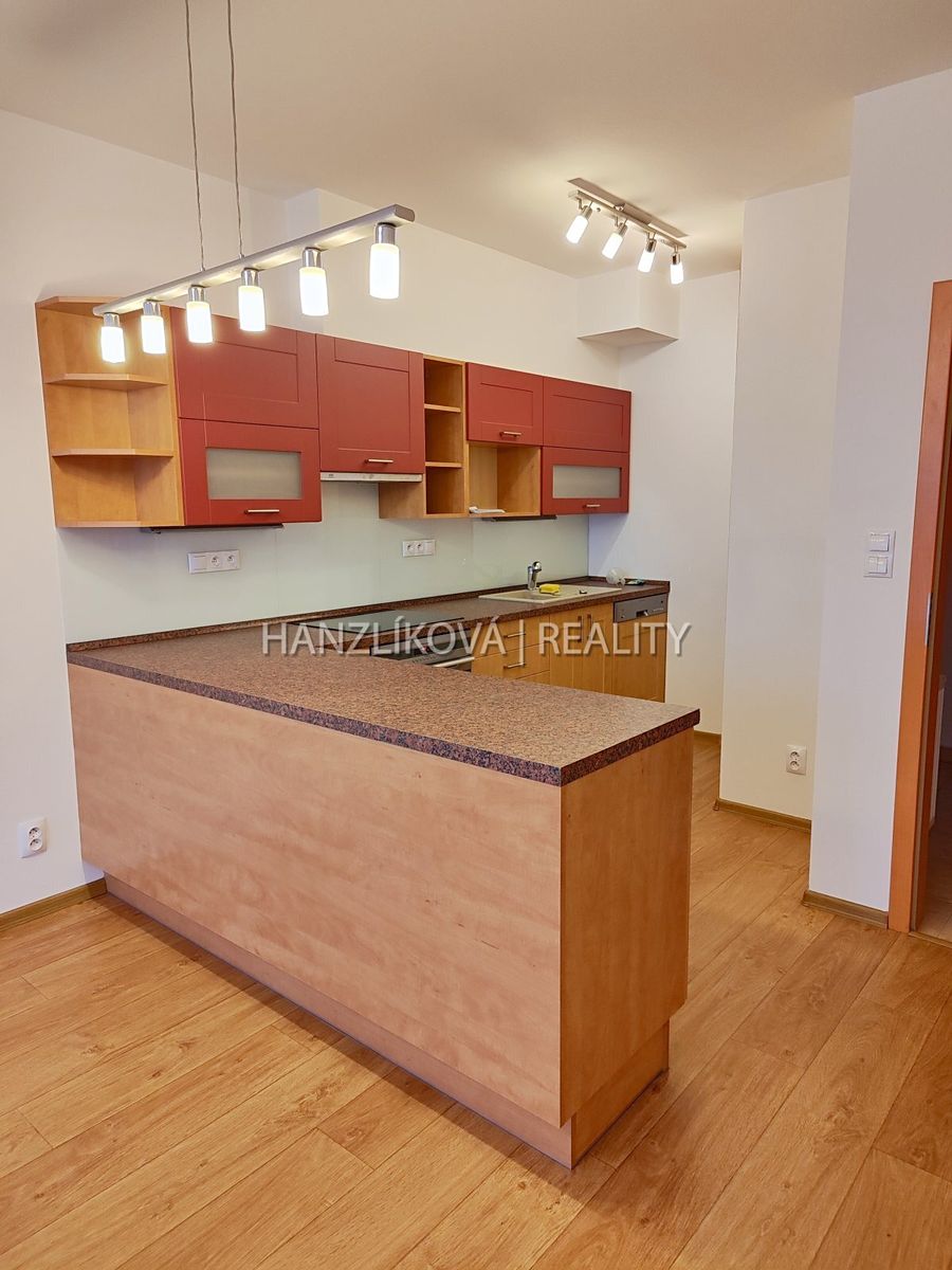 Pronájem bytu 2+kk 54 m² – fotografie 4