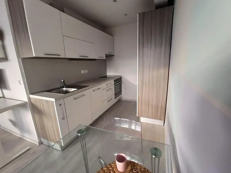 Pronájem bytu 1+kk 39 m², Praha – náhled fotky 3
