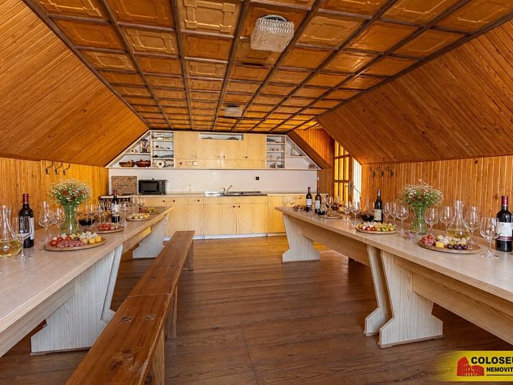Prodej nemovitosti, 160 m² (5 z 15)